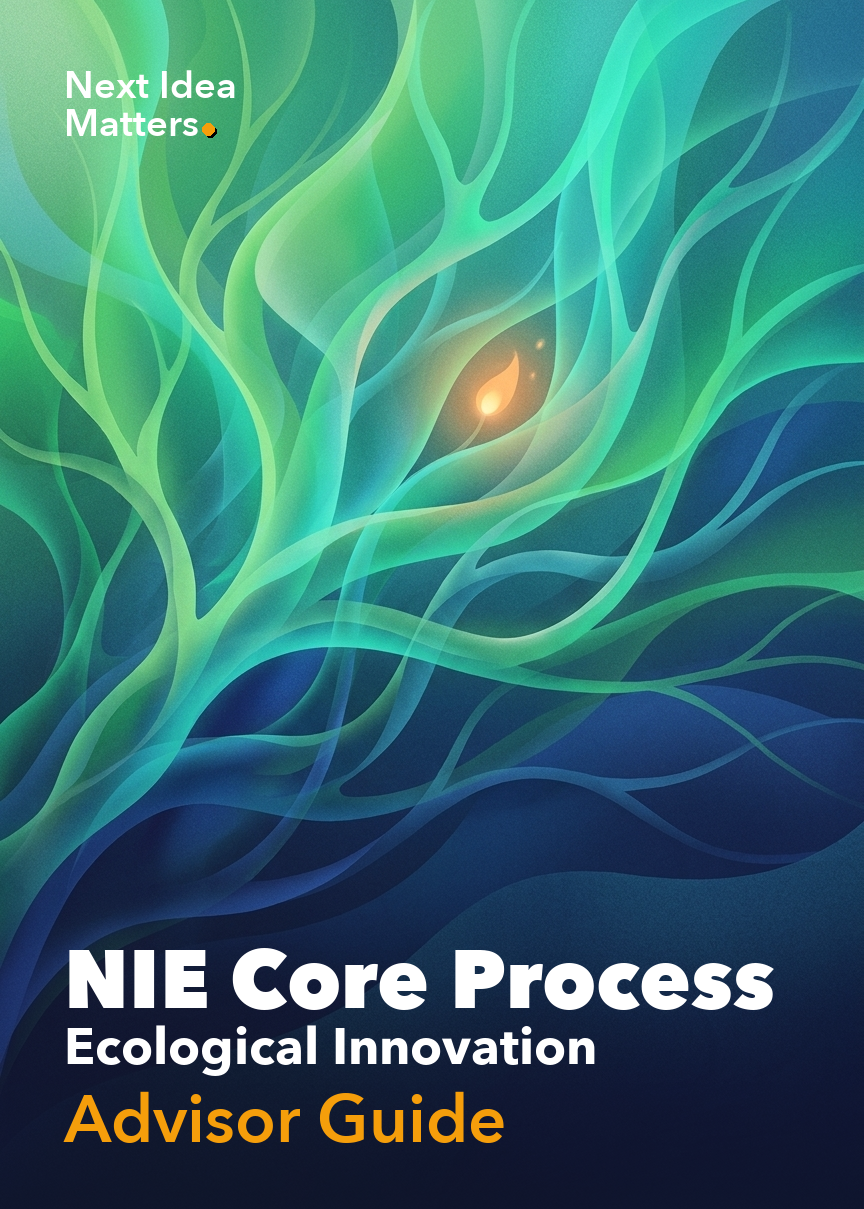 NIE Core Process — Advisor Guide